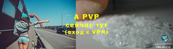 СК Елизово